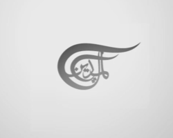 الميادين نت